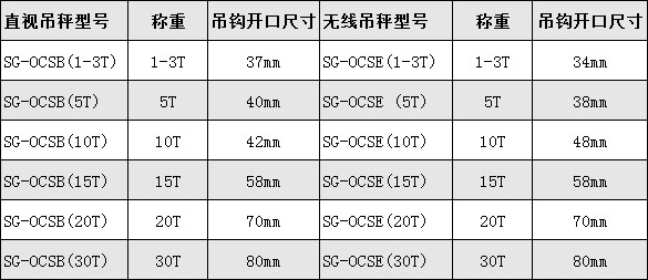 掛鉤式電子秤